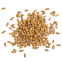 https://brew.rynogroup.com/wp-content/uploads/2017/05/ingredients_transparent_03.png
